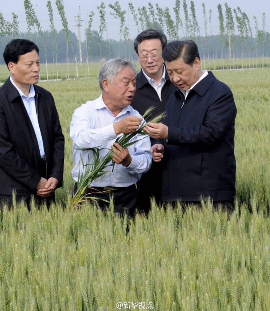学习进行时丨是贡献，也是奉献——习近平总书记和河南的故事