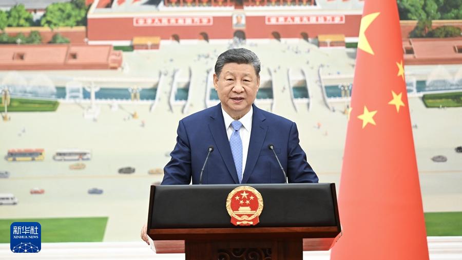 习近平接受外国新任驻华大使递交国书